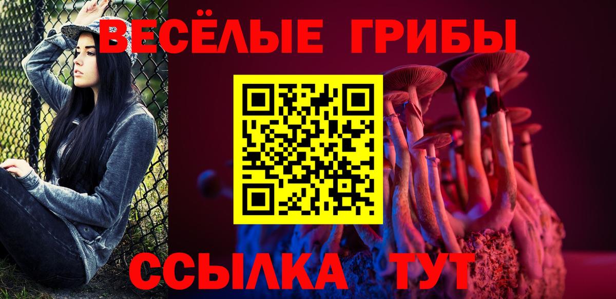 Черногорск  наркота  Вход с VPN  Галлюциногенные грибы Psilocybe 